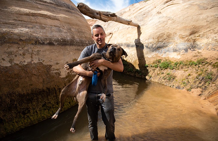 Ghostrider the dog being carried by a man walking in a creek