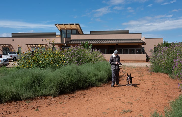 Lovebug the dog and caregiver Paul taking a walk outside the clinic