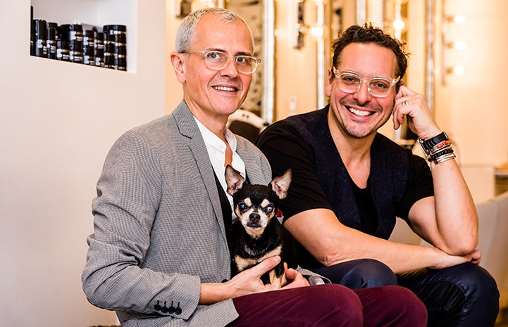 Kikko the Chihuahua sitting in the lap with his two adopters