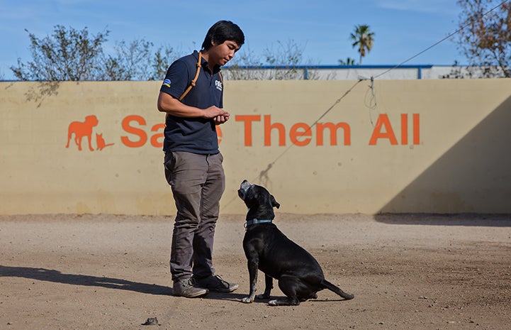 Sakura the dog is trained at the  Best Friends Pet Adoption and Spay/Neuter Center in Los Angeles