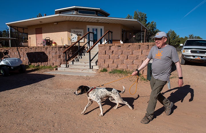 Volunteer Fred Rainey walking Whistler the dog in front of one of the Octagon buildings