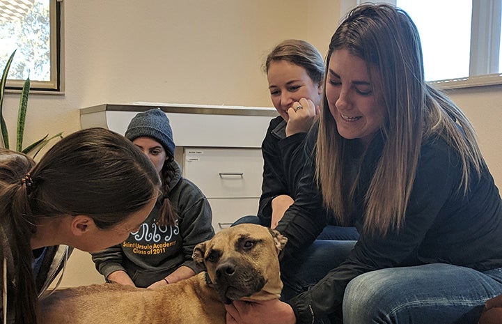 Tierney with Aiden the dog at the chiropractor 