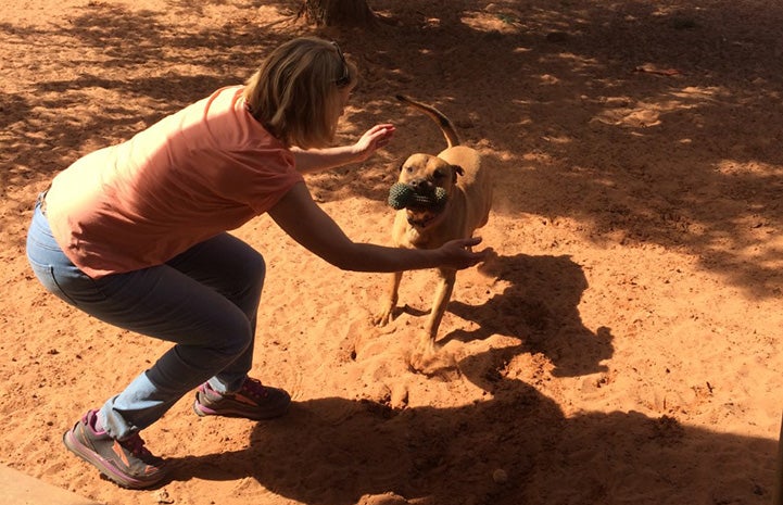 Woman volunteer crouching down next to a dog at Dogtown