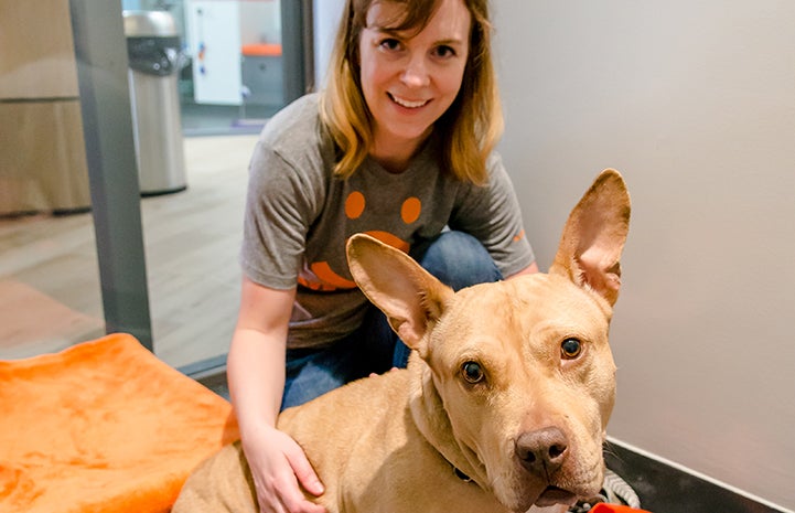 Elsa the dog with big upright ears with a smiling woman behind her