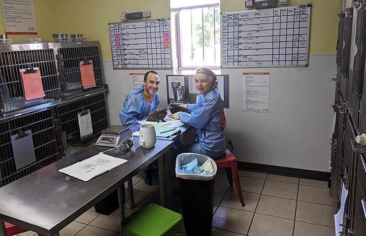 Bella and Justin Brodie volunteering with kittens on a table