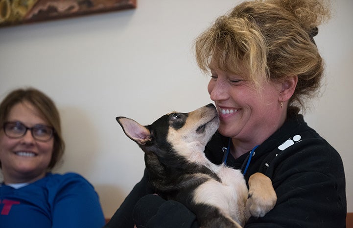 Doogie the puppy being held by a woman volunteer