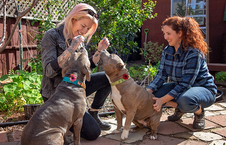 Thelma and Louise the dogs with two women outside in a garden