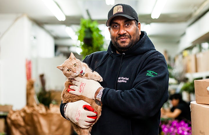 People love flowers, but mice do, too, but no worries because Tom the cat now keeps them away