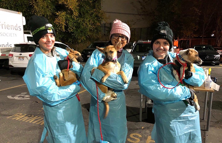 Three women in protective medical gowns holding puppies