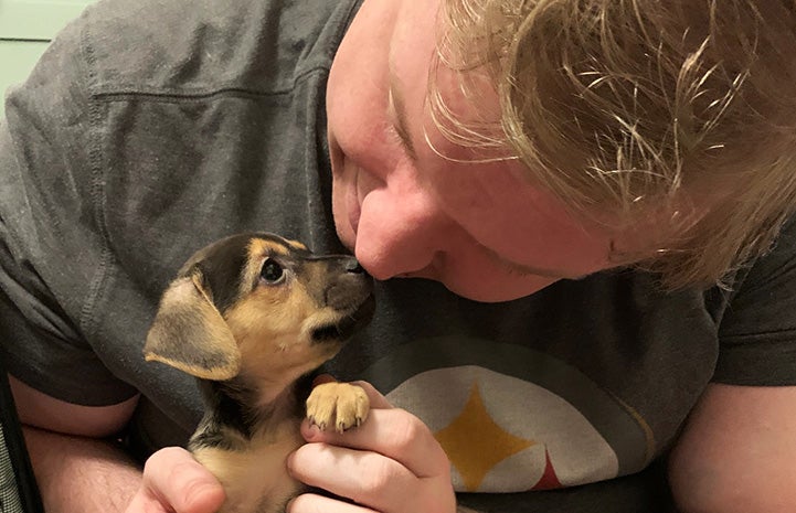 Man snuggling a little brown and black puppy