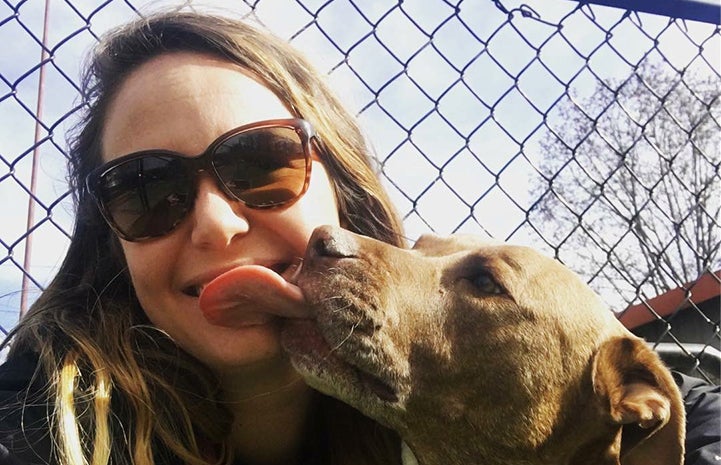 Sasha the dog giving a kiss to a woman