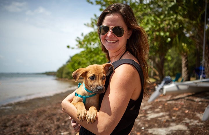 Madeline had been looking to adopt a dog to live at the organization’s big waterfront house and Scooby was perfect