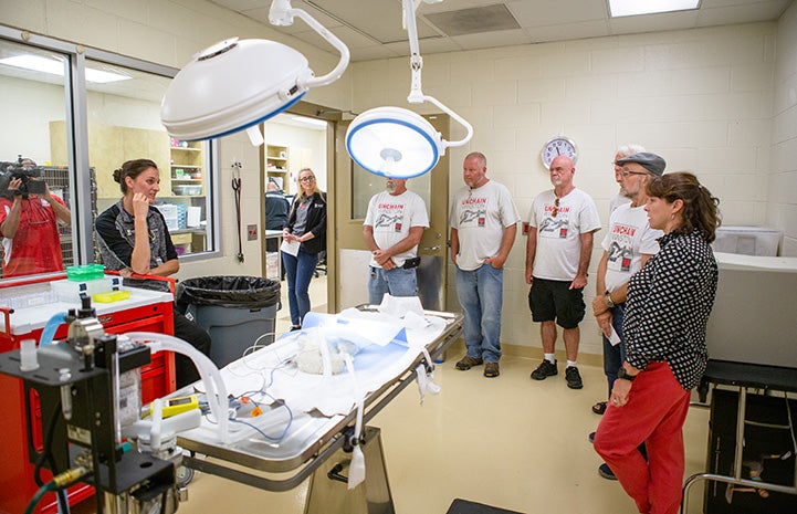 People standing around a spay/neuter surgical suite