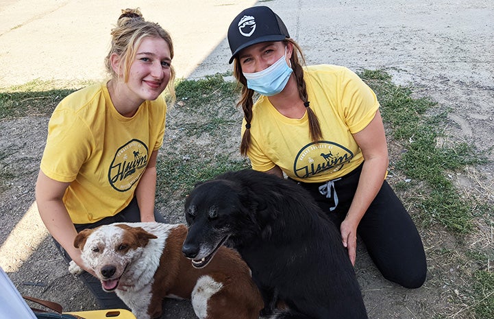 Two people from the Humane Society of Western Montana with two leashed dogs