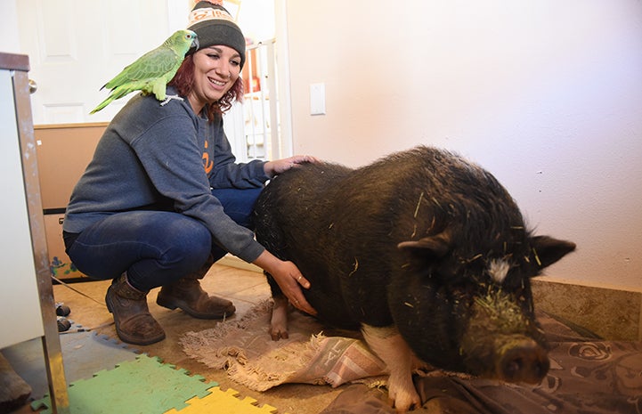 Amy with Captain Turkey and Wilbur the pig