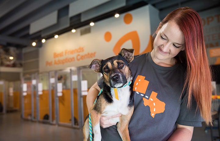 Smiling woman wearing a Texas to Utah T-shirt holding Gunther, a tri-colored dog