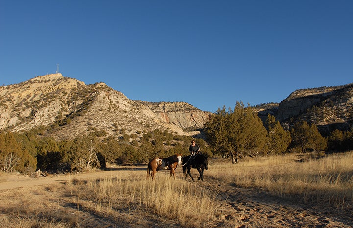 Person riding a dark colored horse and leading another paint horse in a grass field with rock formations behind them