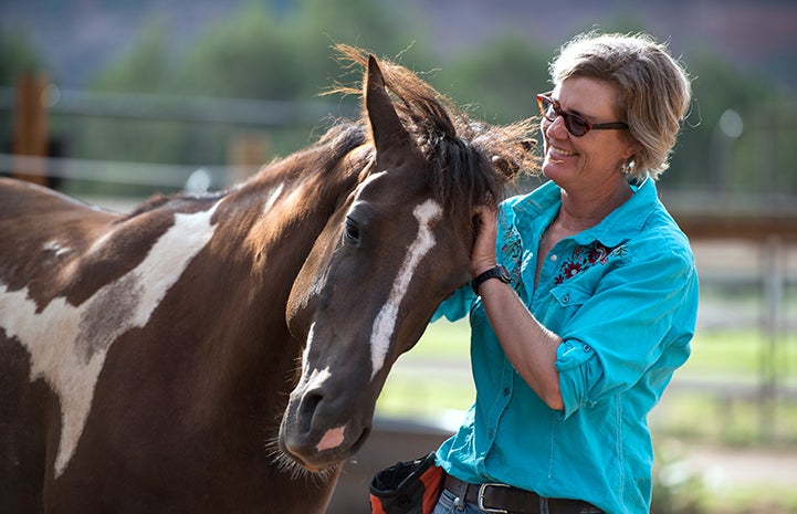 Brown and white paint Tony the Pony leaning his head over to a smiling woman wearing a blue shirt