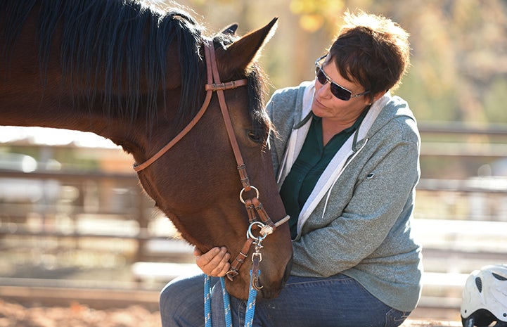 Brown horse's head leaning in to a woman who is sitting down and wearing a gray sweatshirt