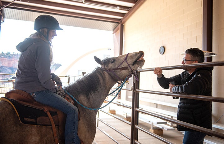 Person sitting on Prince the horse next to a fence while another person watches