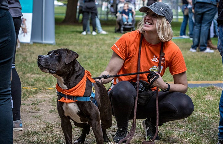 Huck the black and white pit bull terrier with Samantha