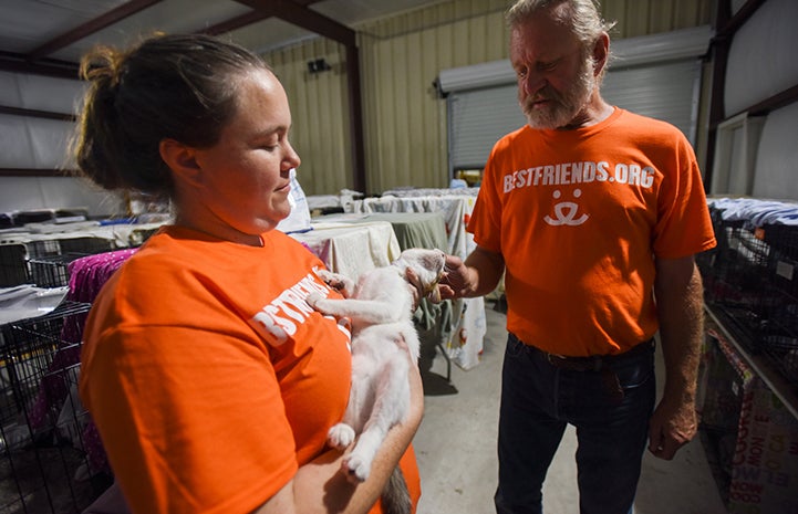 Caregivers Heather  Henley and Mike Bzdewka with a cat at the Rescue and Reunite Center