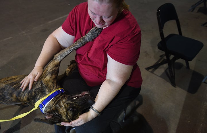 There were more than a few tears shed when Diana arrived and finally got to hug her lost dog, Marmaduke