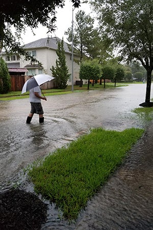 Diana Brown went out in the downpour and looked for Marmaduke for hours