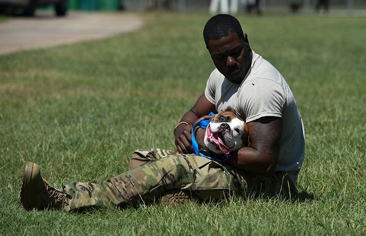 National guardsman helping animals after Hurricane Harvey