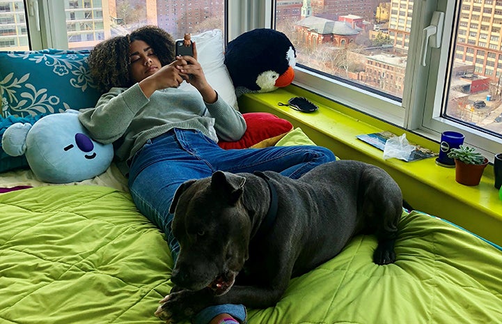 Woman lying in bed looking at her cell phone with MacGregor the dog lying on her leg