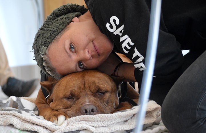 Woman leaning down to snuggle with a sleeping Ludo the dog