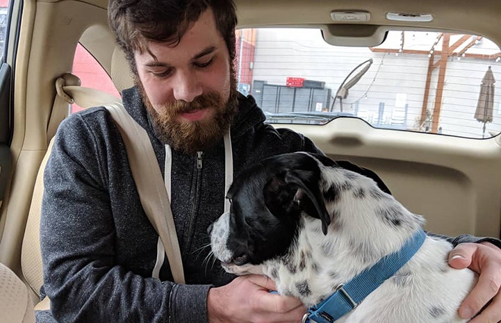 Mulligan, a black and white pit-bull-terrier-type dog, sitting in the back seat of a car with is adopter Matt