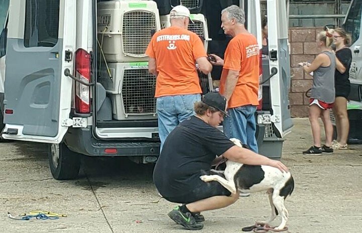 People in San Antonio with a dog and the transport van