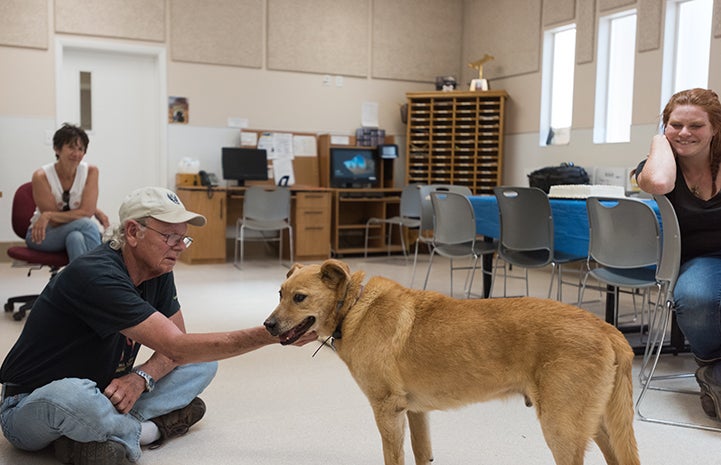 A man sitting on the floor petting Houdini the dog while a couple other people look on