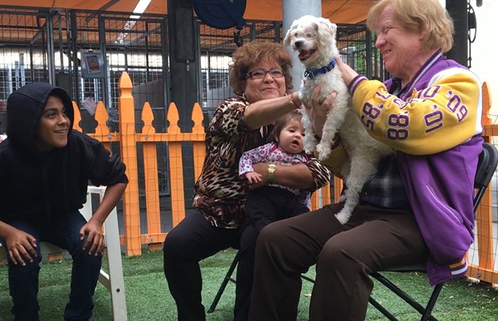 Georgia the dog meets her new family