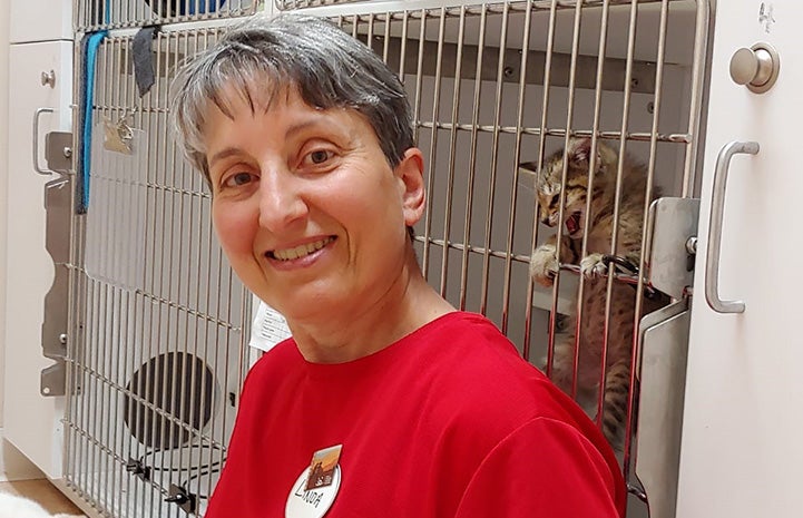 Xactly the brown tabby kitten meowing to get let out of a kennel at Linda the volunteer, who is standing in front of the kennel