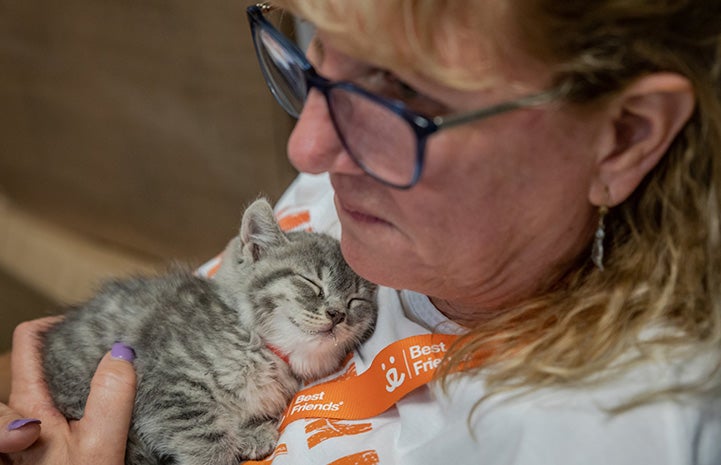 Woman cradling a gray tabby kitten on her chest