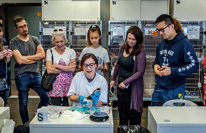 Woman demonstrating to a group of other people how to care for kittens at the kitten nursery