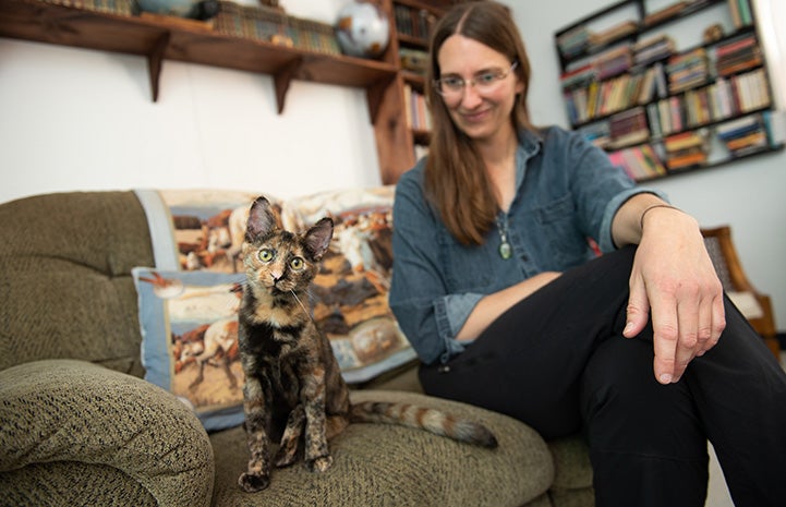 Woman sitting next to Vanetta the tortoiseshell kitten on a couch