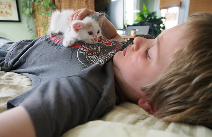 Young boy lying down with foster kitten on his chest