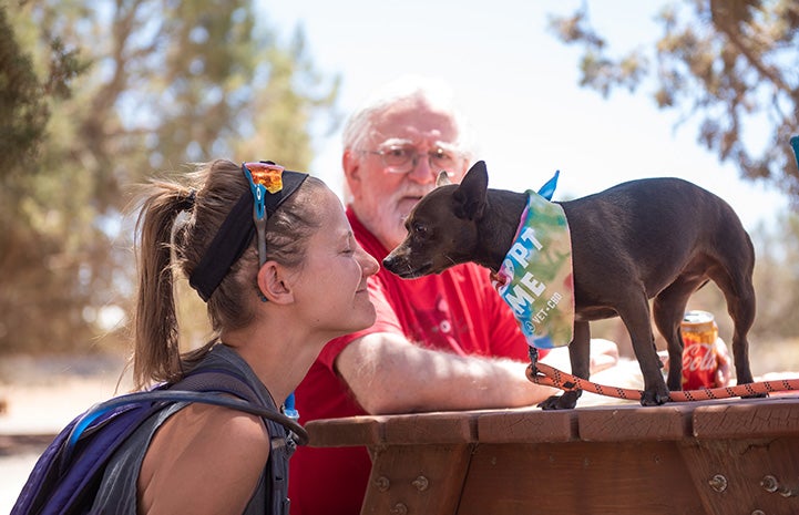 BoPeep the dog standing on a table looking face-to-face with a woman