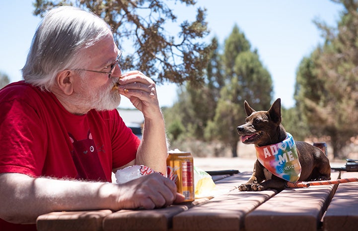 Man eating while BoPeep the dog watches while lying on the table