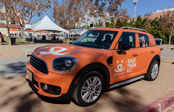 The cars, all MINI Countryman models, are decked out from bumper to bumper with our message to Save Them All