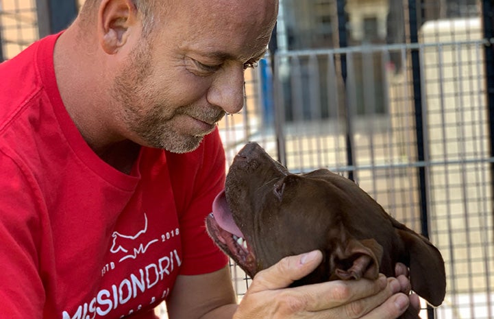 Scott Poore cradling the head of a brown pit bull type dog