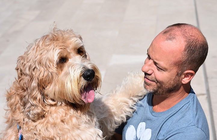 Golden Labradoodle type dog with foot up on Scott Poore