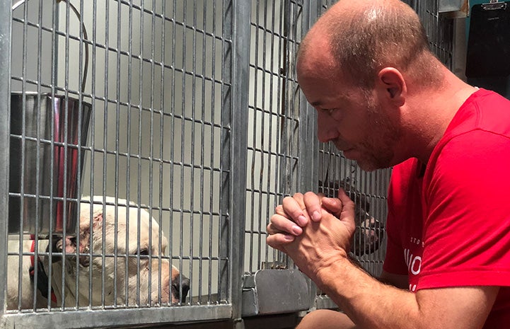 Scott Poore looking in through the bars of a kennel at a dog