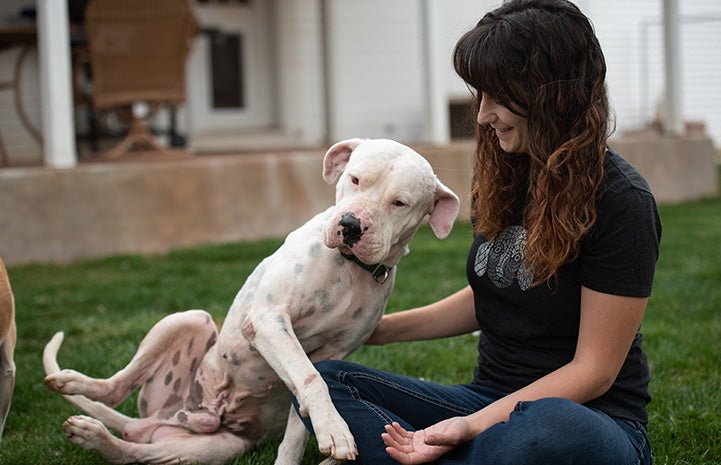 Scamper the dog leaning against Megan while outside on the grass