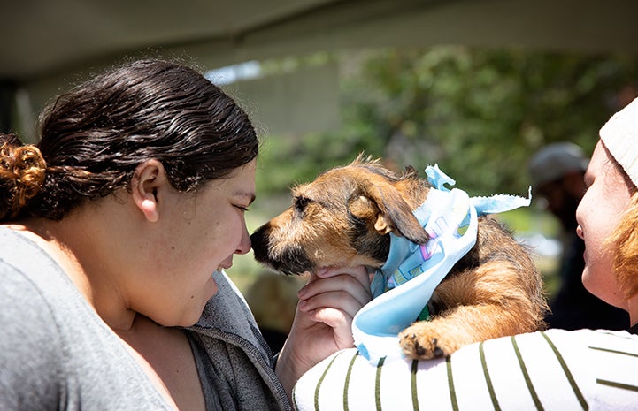 A smiling woman face-to-face with a brown terrier being held by another woman