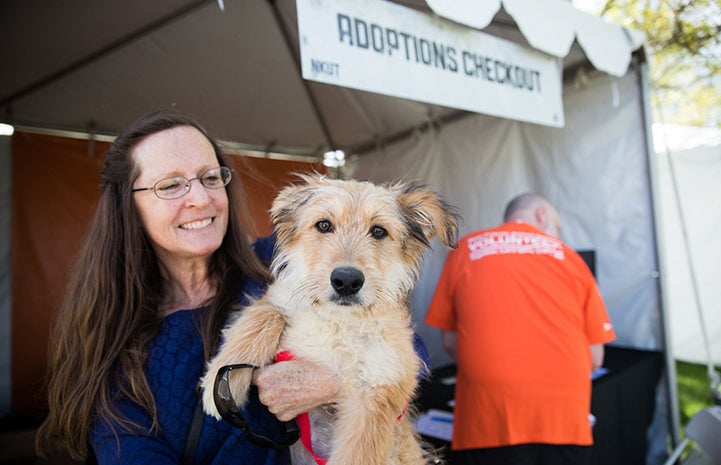 Woman holding Rey, a scruffy brown terrier dog, who she's adopting at the May the 4th NKUT Super Adoption