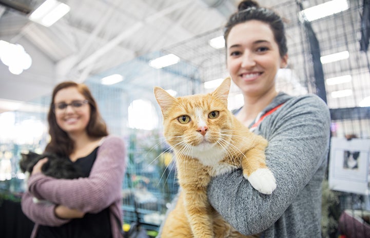 Smiling woman holding a orange tabby with white cat